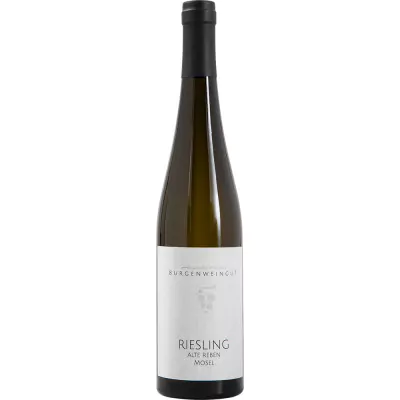 2015 riesling alte reben trocken burgenweingut e42 - Die Welt der Weine