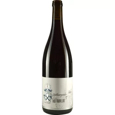 2016 spaetburgunder pinot noir trocken weingut burgkeller bc8 - Die Welt der Weine