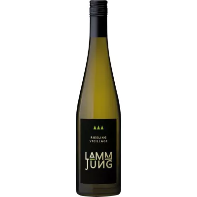 2017 riesling premium steil trocken weingut lamm jung fc3 - Die Welt der Weine