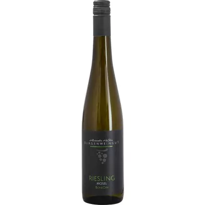 2018 riesling bone dry trocken burgenweingut 549 - Die Welt der Weine