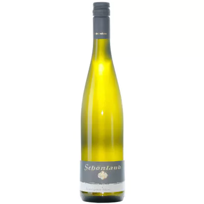 2018 sauvignon blanc trocken weingut schoenlaub df5 - Die Welt der Weine