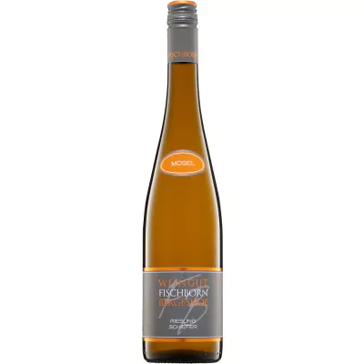 2019 piesporter riesling schiefer bergeshof trocken weingut fischborn bergeshof 6a2 - Die Welt der Weine