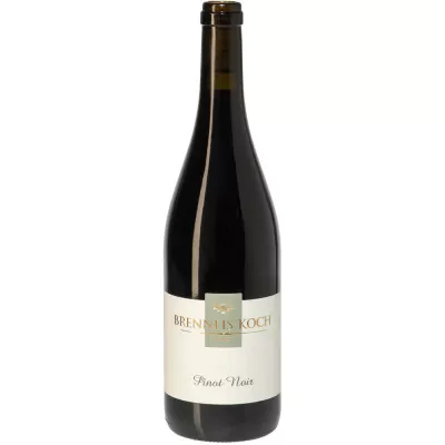 2019 steinacker pinot noir barrique rotwein trocken weingut brenneis koch 87a - Die Welt der Weine