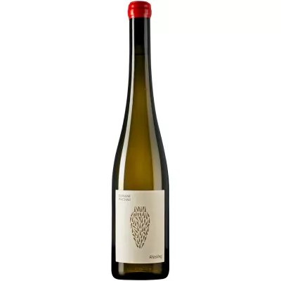 2020 riesling amphora trocken domaene wachau 7e6 - Die Welt der Weine