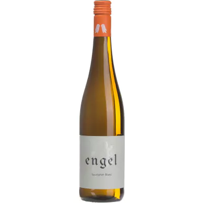 2020 sauvignon blanc trocken weingut engel albrecht 059 - Die Welt der Weine