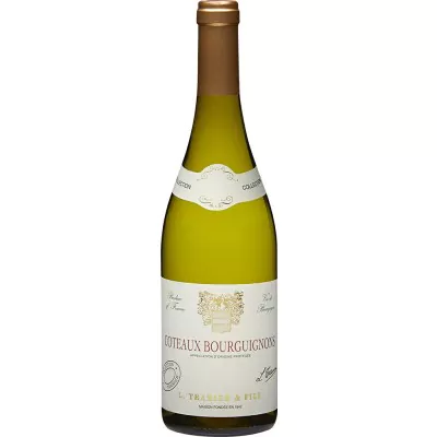 2020 taverdet coteaux bourguignons blanc maison l tramier fils sas frankreich 981 - Die Welt der Weine