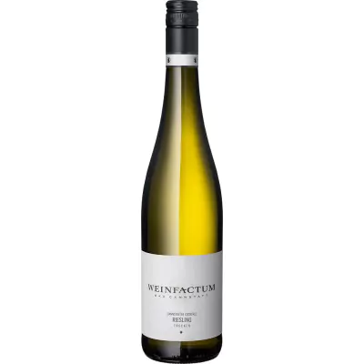 2021 cannstatter zuckerle riesling trocken weinfactum 57e - Die Welt der Weine