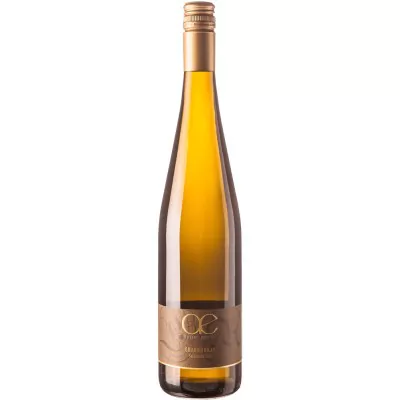 2021 chardonnay alsheimer sonnenberg trocken weingut buesser paukner 9a9 - Die Welt der Weine