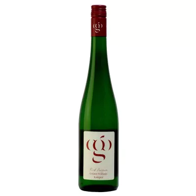 2021 gruener veltliner ried panzaum kamptal dac trocken bio bio weingut gruber 43 a96 - Die Welt der Weine