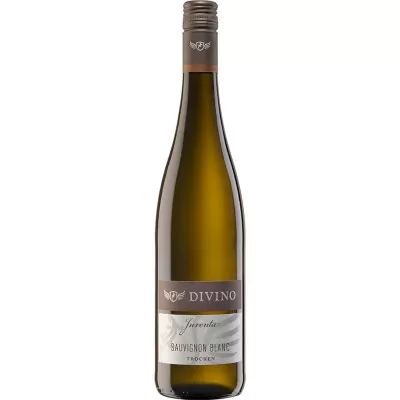 2021 juventa sauvignon blanc trocken divino nordheim thuengersheim db0 - Die Welt der Weine