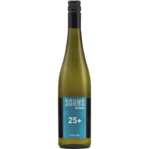 2021 riesling 25 lieblich weingut sohns f03 - Die Welt der Weine