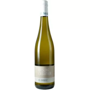 2021 riesling evolution trocken weingut bendehof 0f7 - Die Welt der Weine