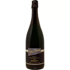 2021 riesling winzersekt brut nature weinhaus basten 3ff - Die Welt der Weine