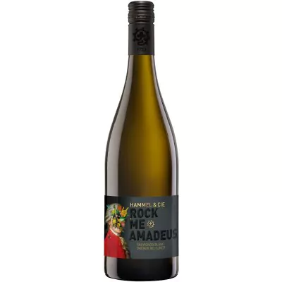 2021 rock me amadeus sauvignon blanc gruener veltliner trocken weingut hammel ea8 - Die Welt der Weine