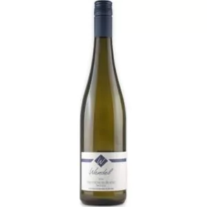 2021 sauvignon blanc trocken bio weingut klaus und judith wendel 4ba - Die Welt der Weine