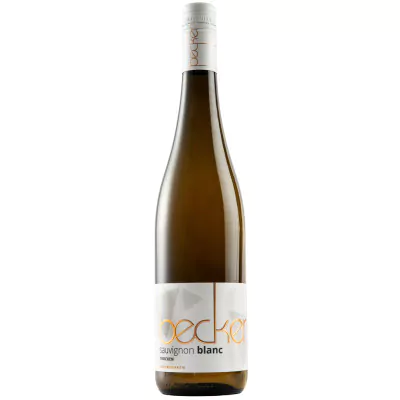 2021 sauvignon blanc trocken weingut becker 236 - Die Welt der Weine