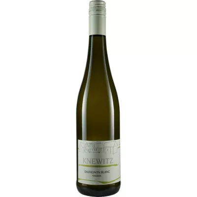 2021 sauvignon blanc trocken weingut zehnthof knewitz 698 - Die Welt der Weine