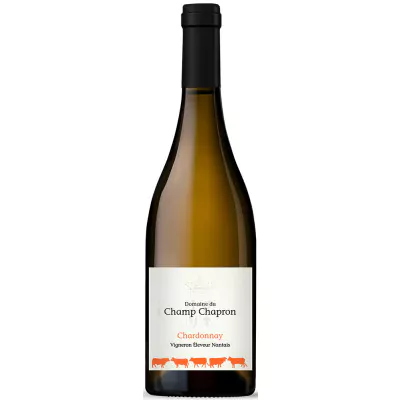 2022 chardonnay val de loire trocken domaine du champ chapron frankreich 372 - Die Welt der Weine