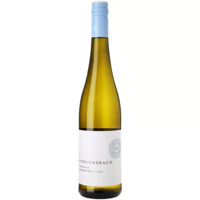 2022 rebenmeer sauvignon blanc trocken weingut wernersbach 997 - Die Welt der Weine