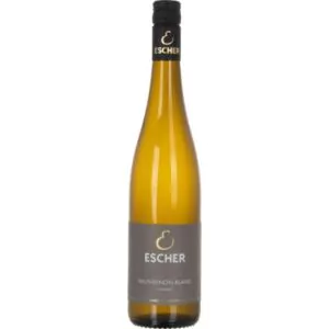 2022 sauvignon blanc bergkeuper trocken weingut escher 1d4 - Die Welt der Weine