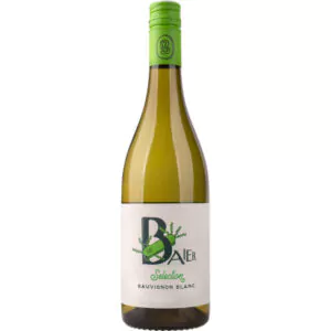 2022 sauvignon blanc russbach trocken weingut baier dc6 - Die Welt der Weine