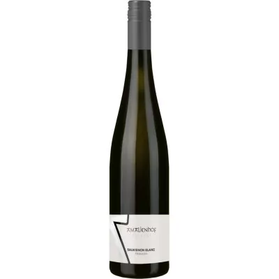 2022 sauvignon blanc trocken weingut amalienhof 8af - Die Welt der Weine