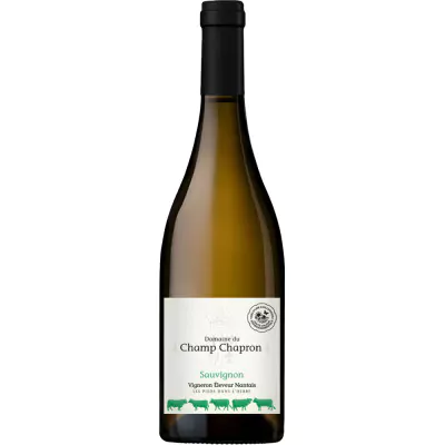 2022 sauvignon val de loire trocken domaine du champ chapron frankreich 197 - Die Welt der Weine