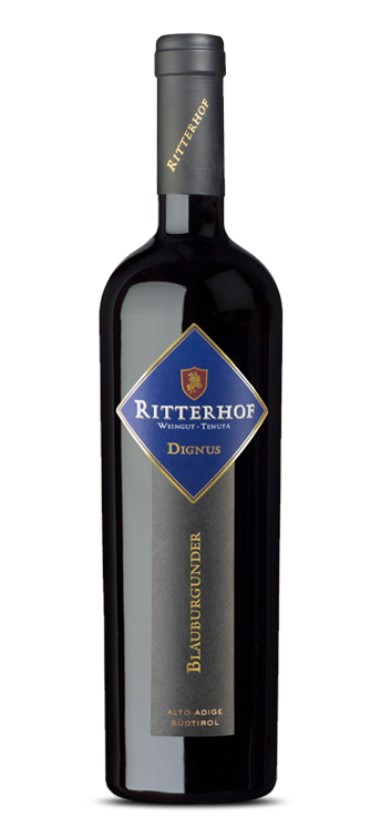 Ritterhof DIGNUS Blauburgunder - Die Welt der Weine