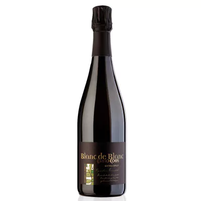 blanc de blanc metodo classico extra brut dario coos italien 817 - Die Welt der Weine