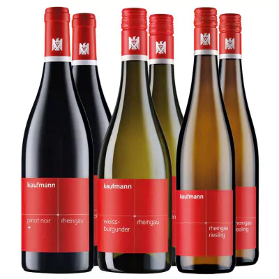 probierpaket rot weiss trocken weingut kaufmann ehem hans lang 43a - Die Welt der Weine