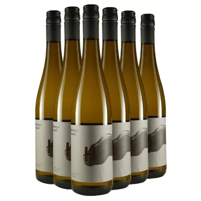 weissweinpaket riesling trocken weingut haack 47d - Die Welt der Weine