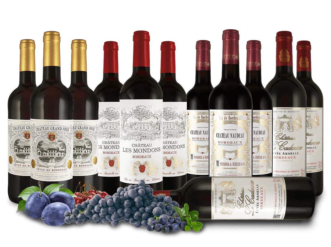 008770 Bordeaux Entdeckerpaket l - Die Welt der Weine