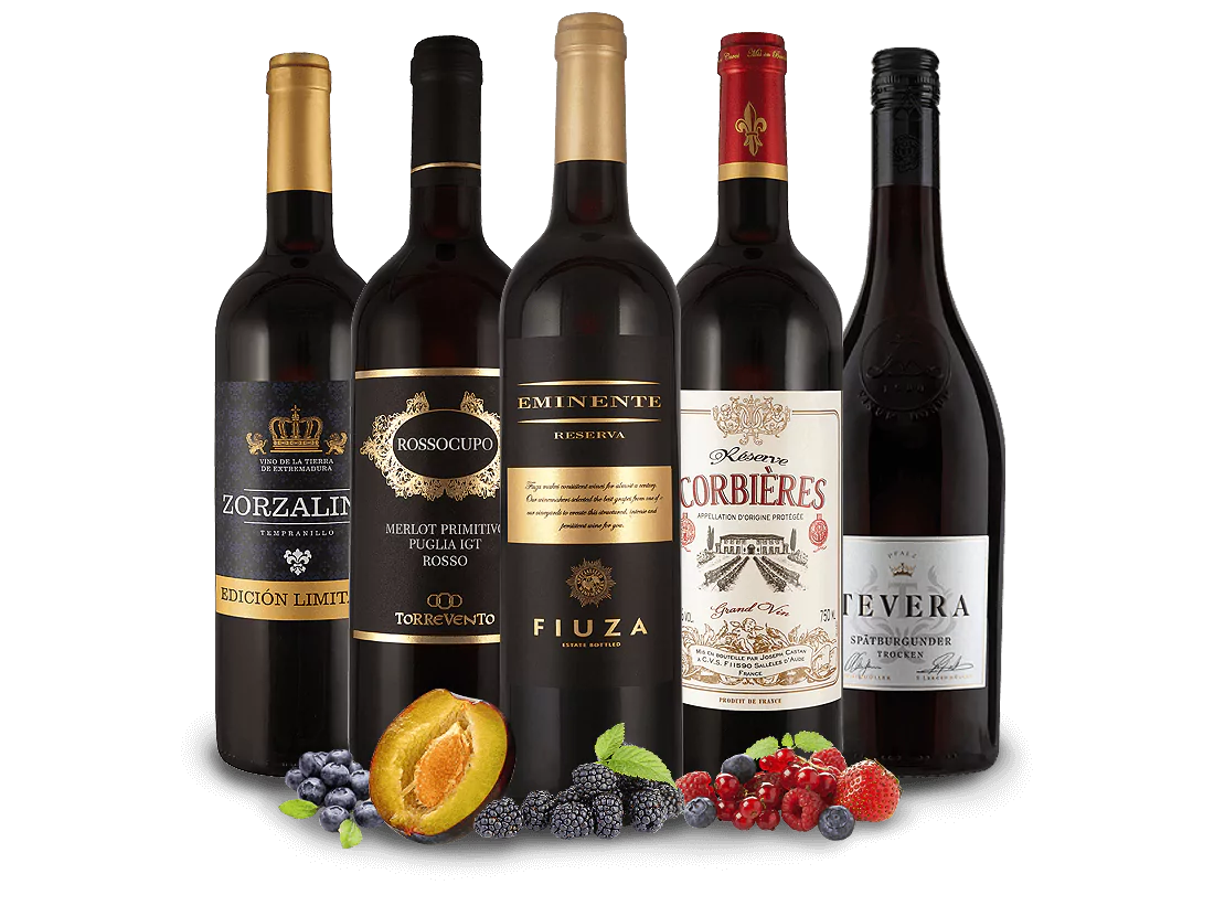 012595 kleine Best of ebrosia Paket Rotwein l - Die Welt der Weine
