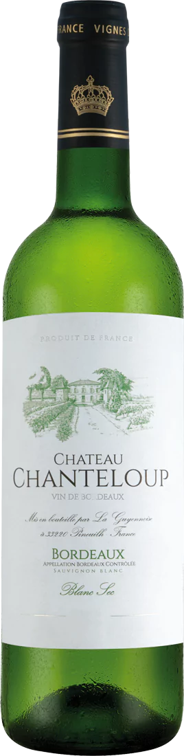 012801 Chateau Chanteloup Sauvignon Blanc Bordeaux Blanc AOC - Die Welt der Weine