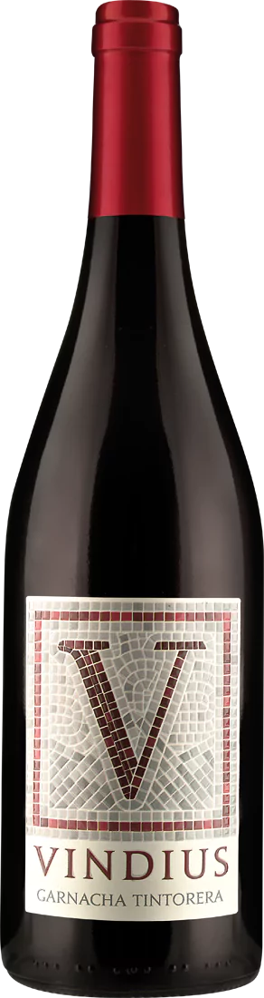 013244 Vinos Guerra Vindus GARNACHA TINTORERA - Die Welt der Weine