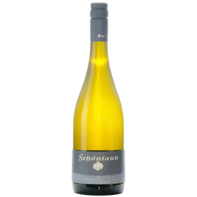 2015 chardonnay vom muschelkalk trocken weingut schoenlaub 082 - Die Welt der Weine