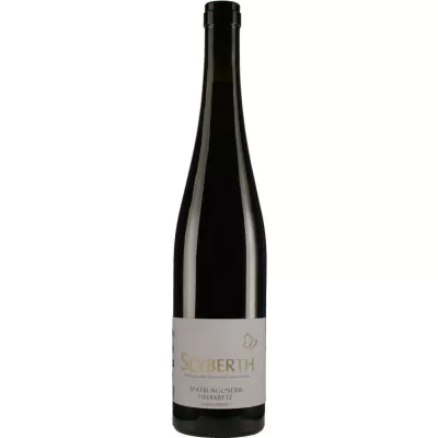 2017 spaetburgunder heerkretz trocken bio weingut seyberth 0cf - Die Welt der Weine