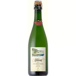 2019 mullay hofberg riesling zero dosage brut nature bio weingut melsheimer 728 - Die Welt der Weine