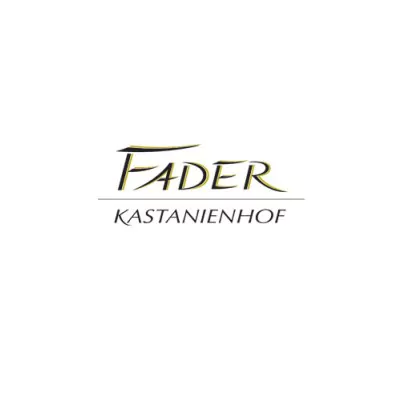 2019 spaetburgunder trocken weingut fader kastanienhof 014 - Die Welt der Weine