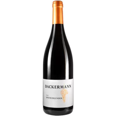 2019 stein spaetburgunder lagenwein trocken weingut dackermann d6a - Die Welt der Weine