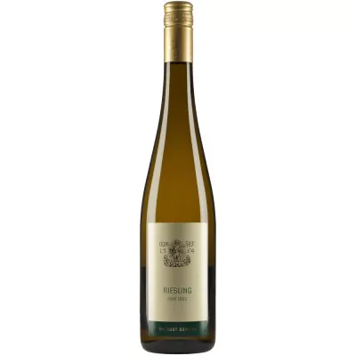 2020 riesling vom loess guntersblum ortswein trocken weingut domhof 11a - Die Welt der Weine