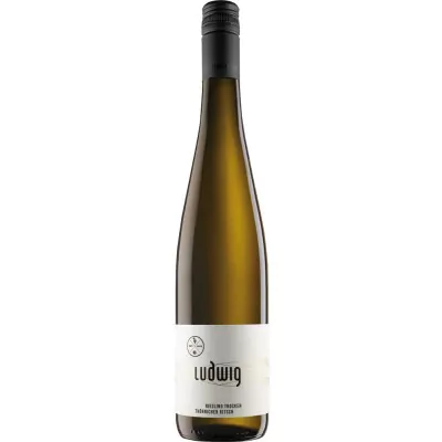 2020 ritsch riesling trocken weingut gebrueder ludwig eb0 - Die Welt der Weine