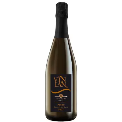 2020 vinian pinot blanc de noir brut bottwartaler winzer 350 - Die Welt der Weine