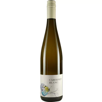 2021 cabernet blanc trocken bio weingut volker klein 106 - Die Welt der Weine