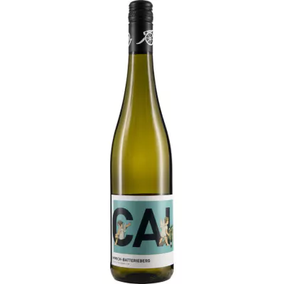 2021 cai riesling kabinett trocken weingut c a immich batterieberg 5f2 - Die Welt der Weine