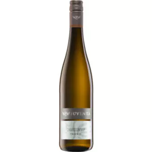 2021 juventa chardonnay trocken divino nordheim thuengersheim 3d0 - Die Welt der Weine