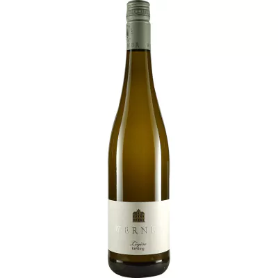 2021 riesling legere halbtrocken weingut werner d52 - Die Welt der Weine