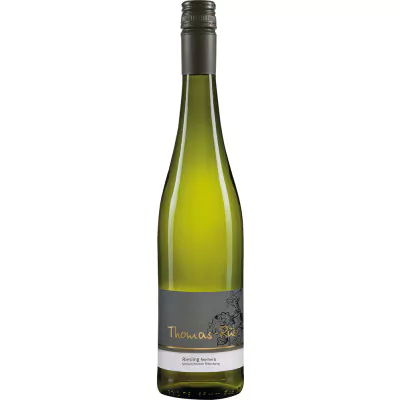 2021 riesling schornsheimer ritterberg feinherb weingut thomas rueb fa2 - Die Welt der Weine