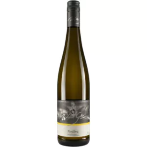 2021 riesling traditionell trocken bio weingut winfried seeber 67e - Die Welt der Weine