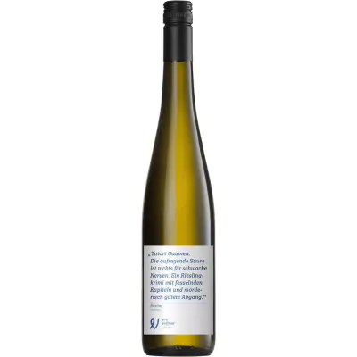 2021 riesling trocken bio weingut eva vollmer 09d - Die Welt der Weine